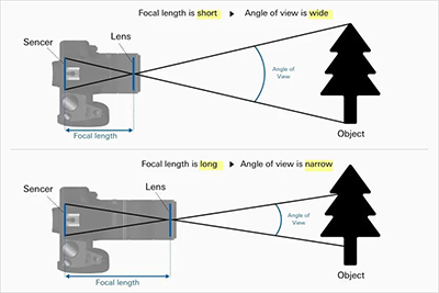 A telephoto lens and a short-focus lens