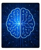AI / Software Processing