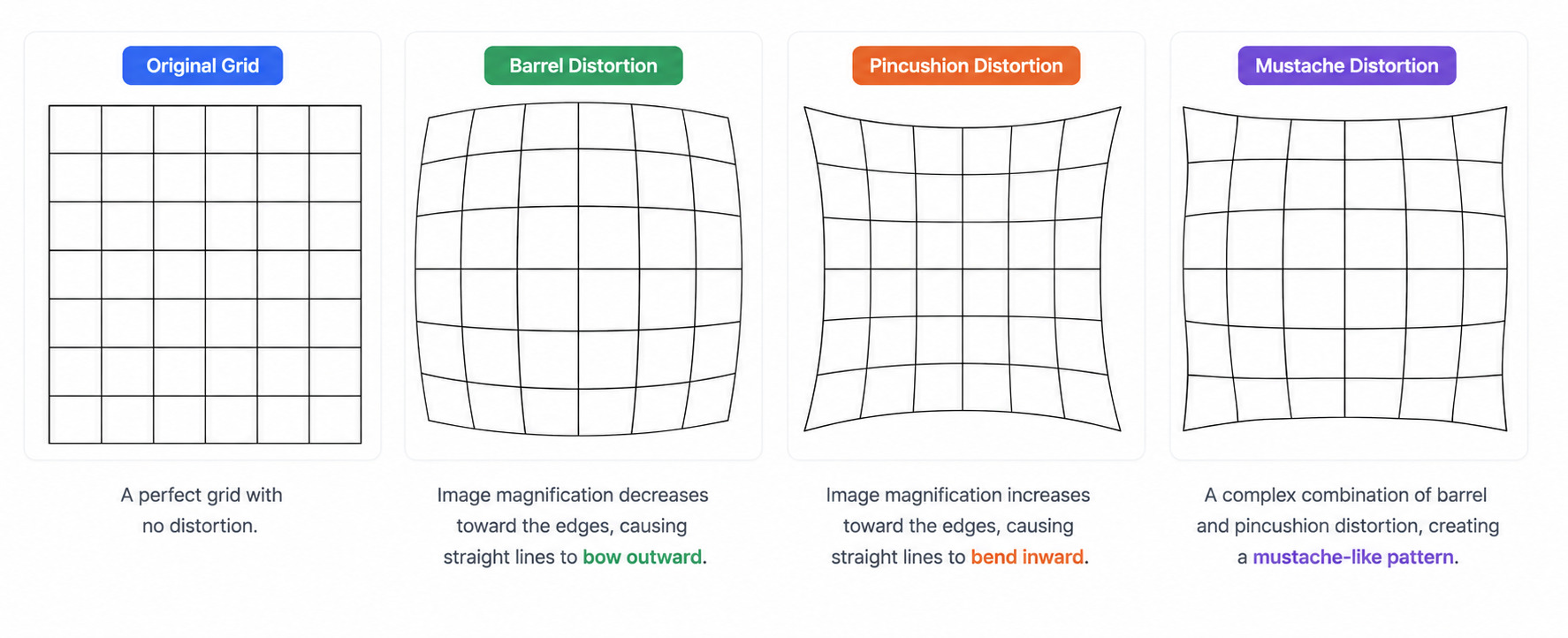 How Distortion Changes an Image