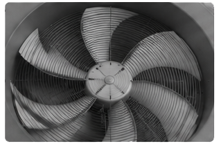 Rolling Shutter Fan