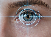 Iris Recognition